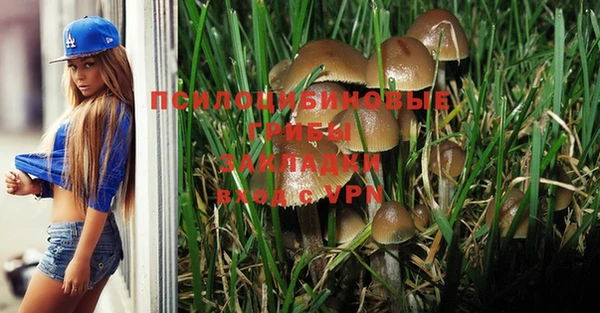 эйфоретик Баксан