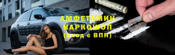 стаф Балахна