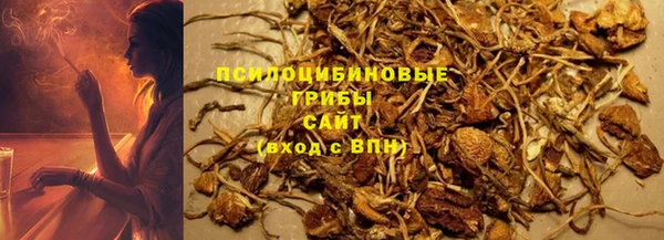 эйфоретик Баксан